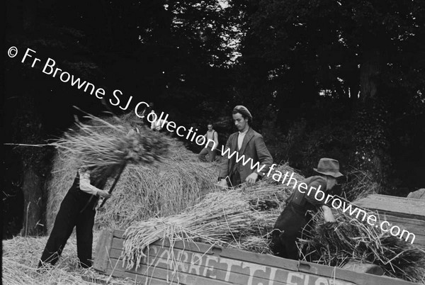 THRESHING AT ST MARYS